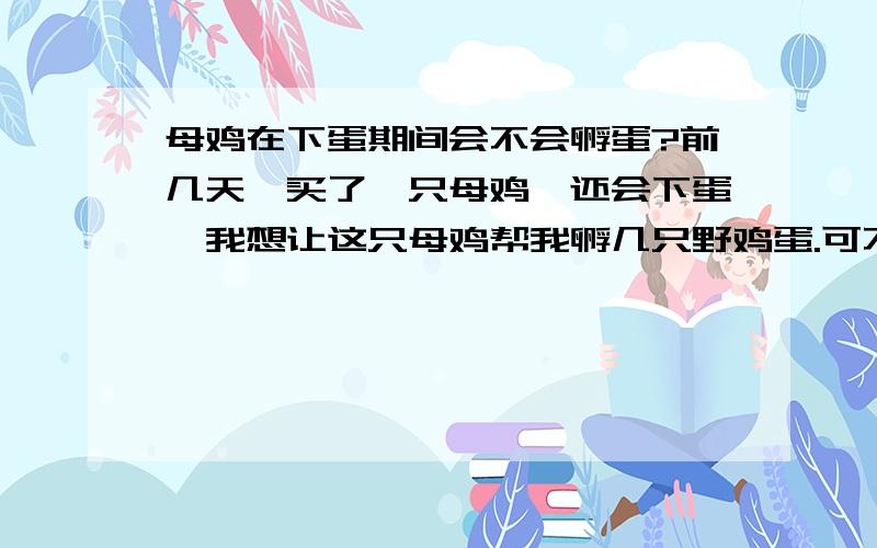 母鸡在下蛋期间会不会孵蛋?前几天,买了一只母鸡,还会下蛋,我想让这只母鸡帮我孵几只野鸡蛋.可不可以啊!母鸡在下蛋期间会不会孵蛋.你们说说他会不会孵?