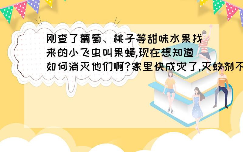 刚查了葡萄、桃子等甜味水果找来的小飞虫叫果蝇,现在想知道如何消灭他们啊?家里快成灾了,灭蚊剂不好用