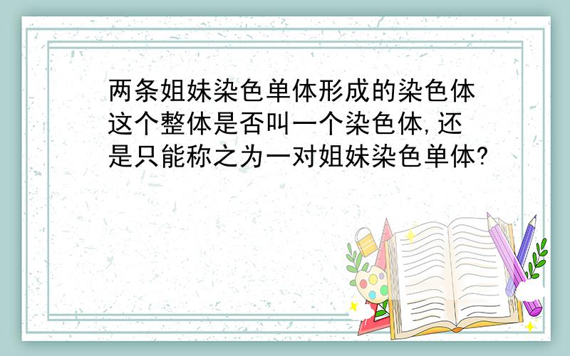 两条姐妹染色单体形成的染色体这个整体是否叫一个染色体,还是只能称之为一对姐妹染色单体?