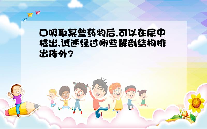 口吸取某些药物后,可以在尿中检出,试述经过哪些解剖结构排出体外?