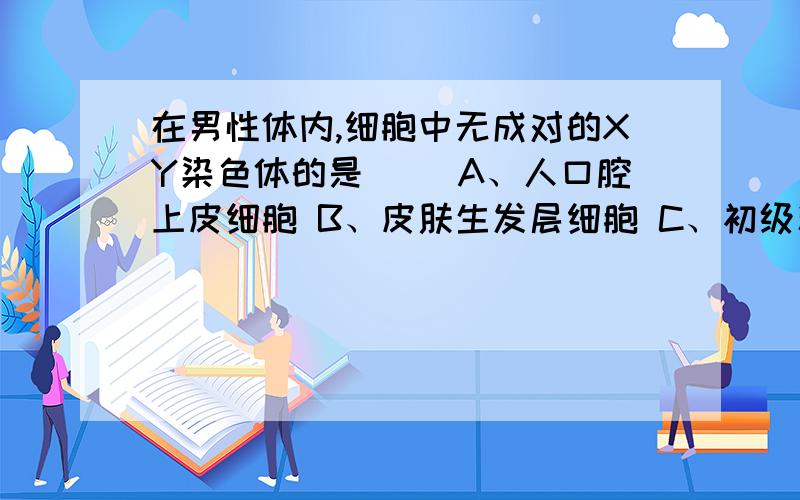 在男性体内,细胞中无成对的XY染色体的是（ ）A、人口腔上皮细胞 B、皮肤生发层细胞 C、初级精母细胞 D、次级精母细胞讲讲理由