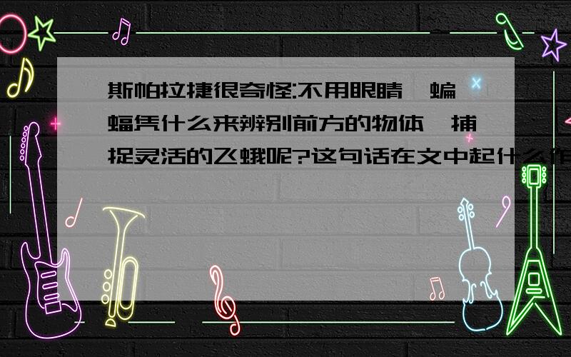 斯帕拉捷很奇怪:不用眼睛,蝙蝠凭什么来辨别前方的物体,捕捉灵活的飞蛾呢?这句话在文中起什么作用?