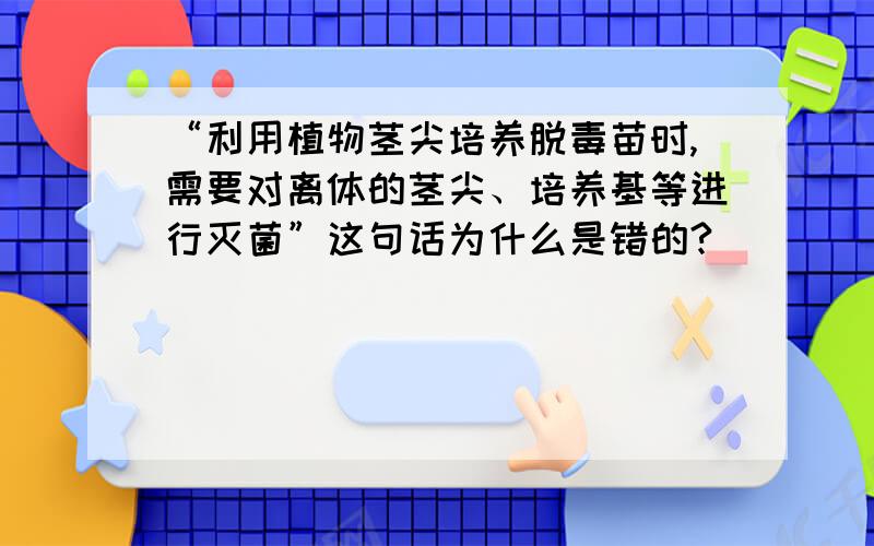 “利用植物茎尖培养脱毒苗时,需要对离体的茎尖、培养基等进行灭菌”这句话为什么是错的?