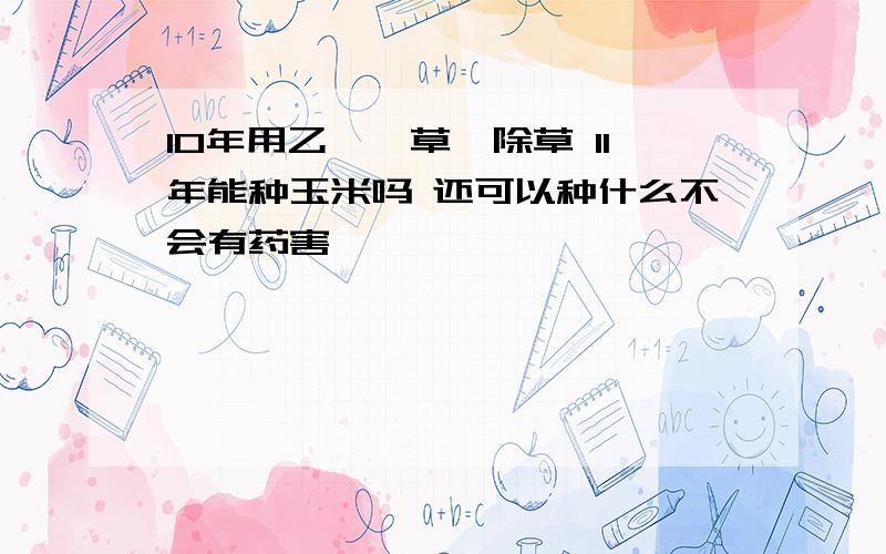 10年用乙羧氟草醚除草 11年能种玉米吗 还可以种什么不会有药害