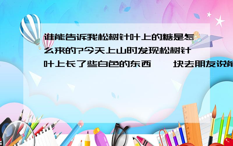 谁能告诉我松树针叶上的糖是怎么来的?今天上山时发现松树针叶上长了些白色的东西,一块去朋友说能吃,她小时候经常吃.尝了一下果然很甜和白糖一样甜