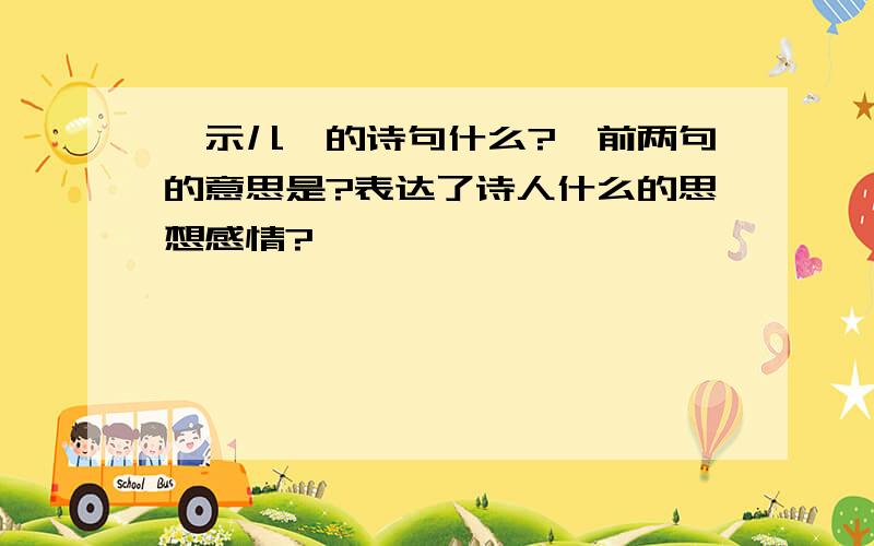 《示儿》的诗句什么?,前两句的意思是?表达了诗人什么的思想感情?