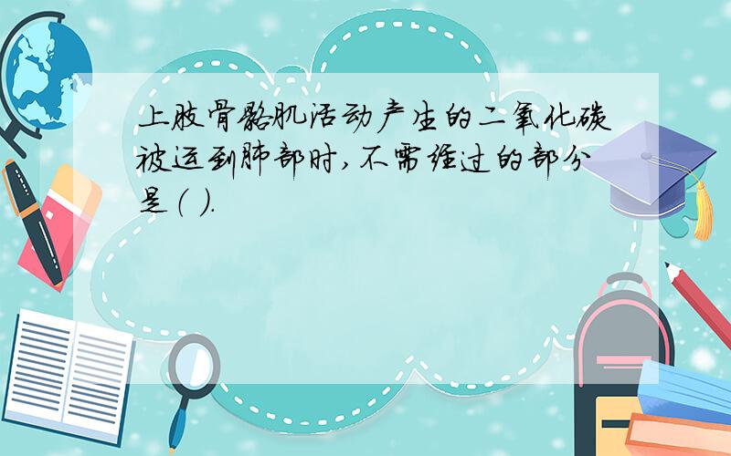 上肢骨骼肌活动产生的二氧化碳被运到肺部时,不需经过的部分是（ ）.