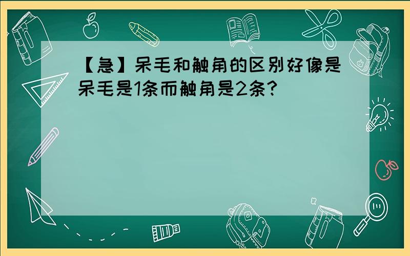 【急】呆毛和触角的区别好像是呆毛是1条而触角是2条?