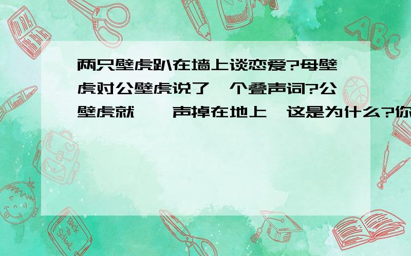 两只壁虎趴在墙上谈恋爱?母壁虎对公壁虎说了一个叠声词?公壁虎就啪一声掉在地上,这是为什么?你知道吗