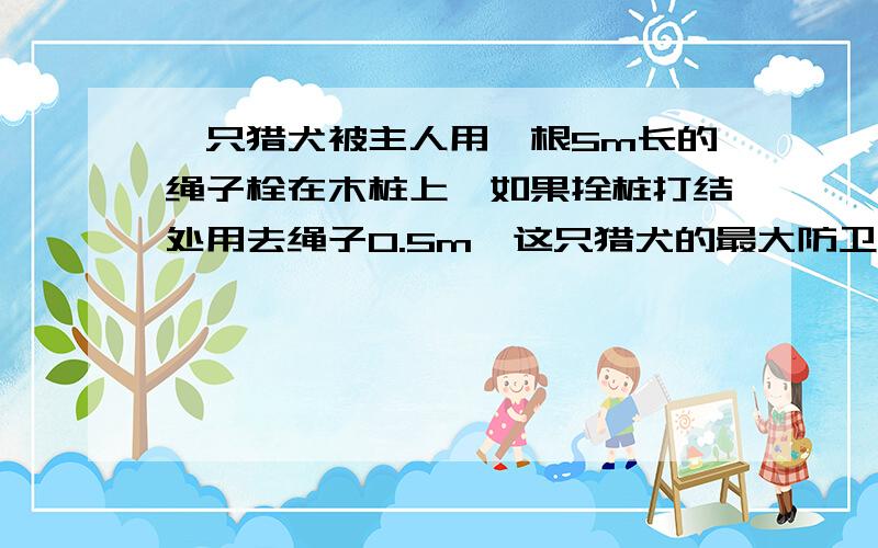 一只猎犬被主人用一根5m长的绳子栓在木桩上,如果拴桩打结处用去绳子0.5m,这只猎犬的最大防卫范围是多少平方米?