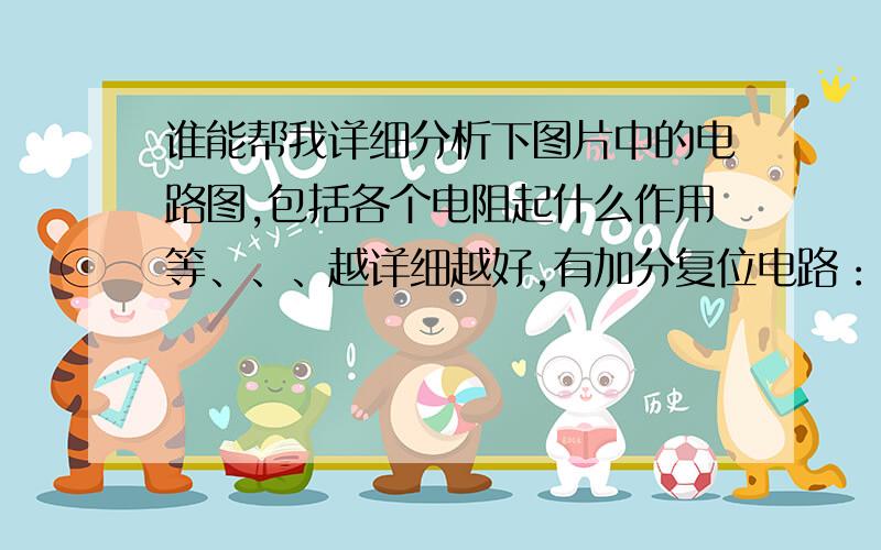 谁能帮我详细分析下图片中的电路图,包括各个电阻起什么作用等、、、越详细越好,有加分复位电路：