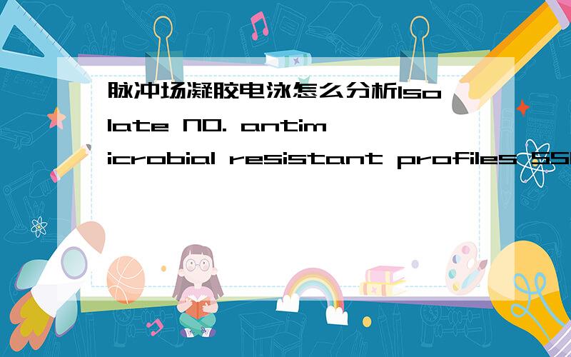 脉冲场凝胶电泳怎么分析Isolate NO. antimicrobial resistant profiles SSCmec mecA  PLV qacA/B sourse farms46 CHL+CIP+GEN+ERY+TMP － － + － nasal swab A是什么意思呢？