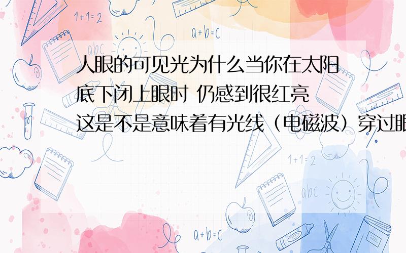 人眼的可见光为什么当你在太阳底下闭上眼时 仍感到很红亮 这是不是意味着有光线（电磁波）穿过眼皮 如果是这样的话 我们知道可见光没有穿透性 但我们确实看到了 这是不是意味着 人眼