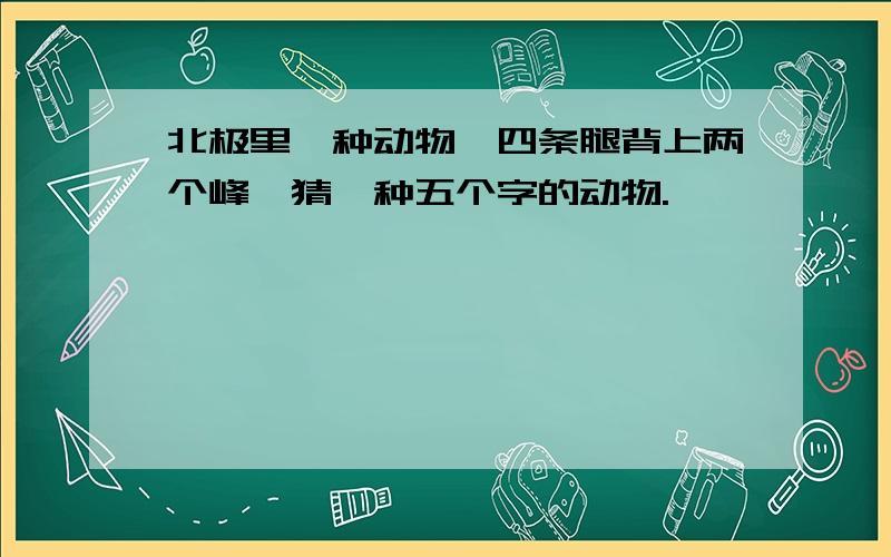 北极里一种动物,四条腿背上两个峰,猜一种五个字的动物.