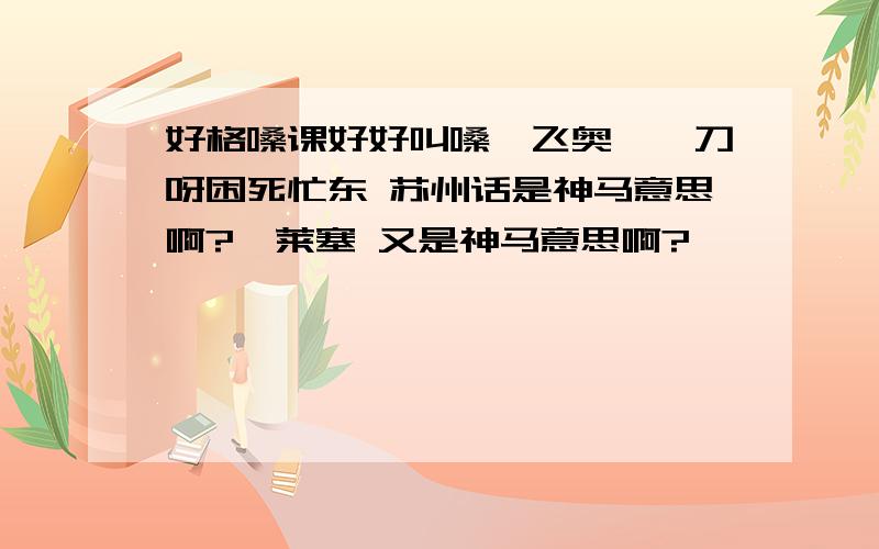 好格嗓课好好叫嗓,飞奥一涅刀呀困死忙东 苏州话是神马意思啊?弗莱塞 又是神马意思啊?