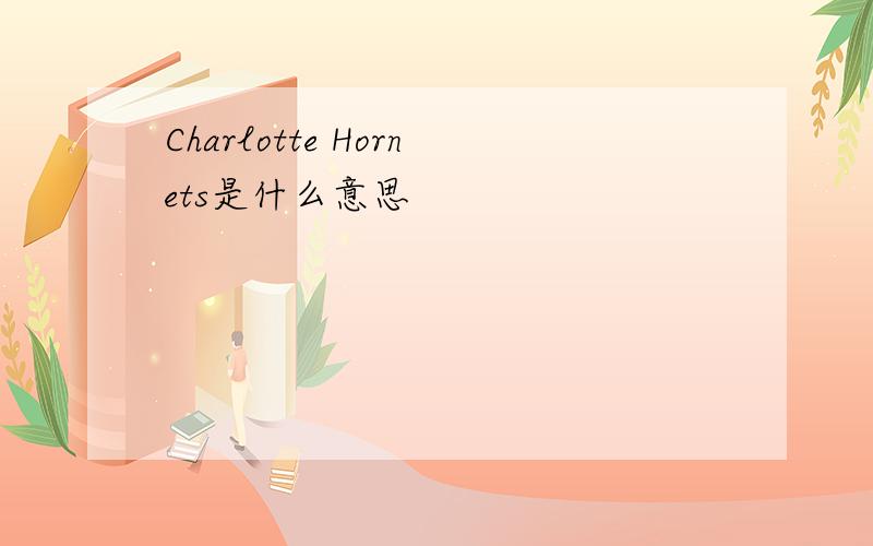 Charlotte Hornets是什么意思