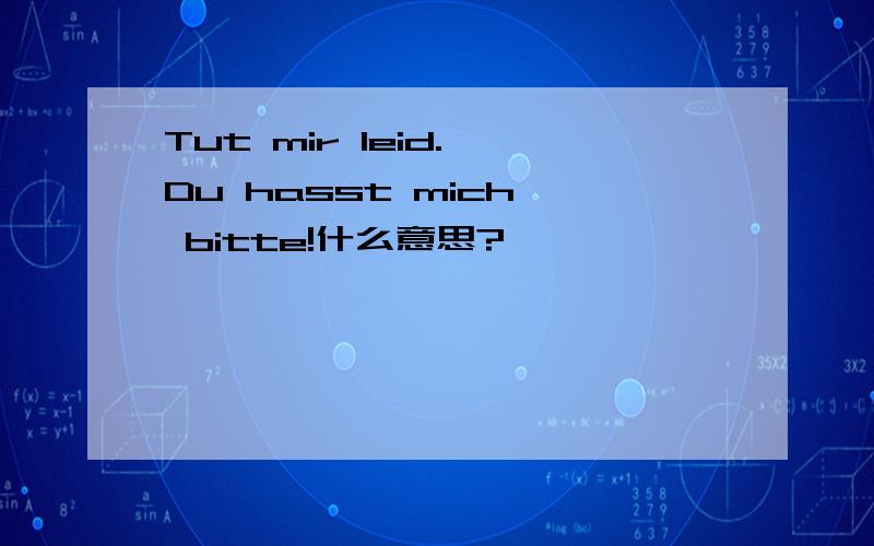 Tut mir leid. Du hasst mich, bitte!什么意思?