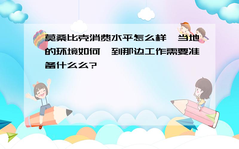 莫桑比克消费水平怎么样,当地的环境如何,到那边工作需要准备什么么?