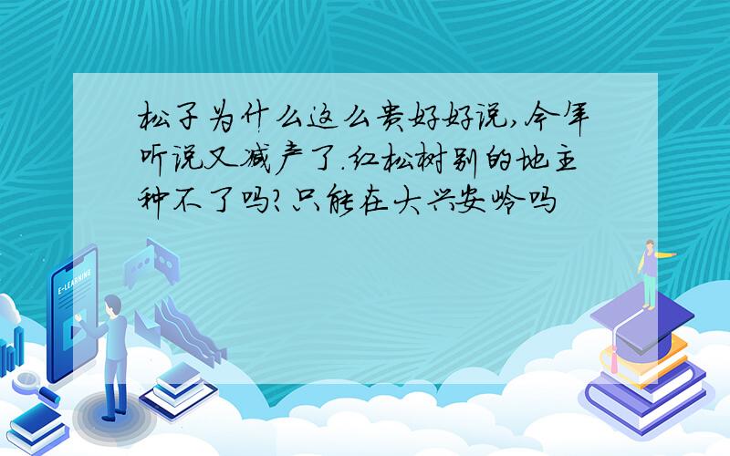 松子为什么这么贵好好说,今年听说又减产了.红松树别的地主种不了吗?只能在大兴安岭吗