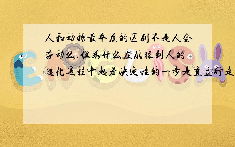 人和动物最本质的区别不是人会劳动么.但为什么在从猿到人的进化过程中起着决定性的一步是直立行走?要详