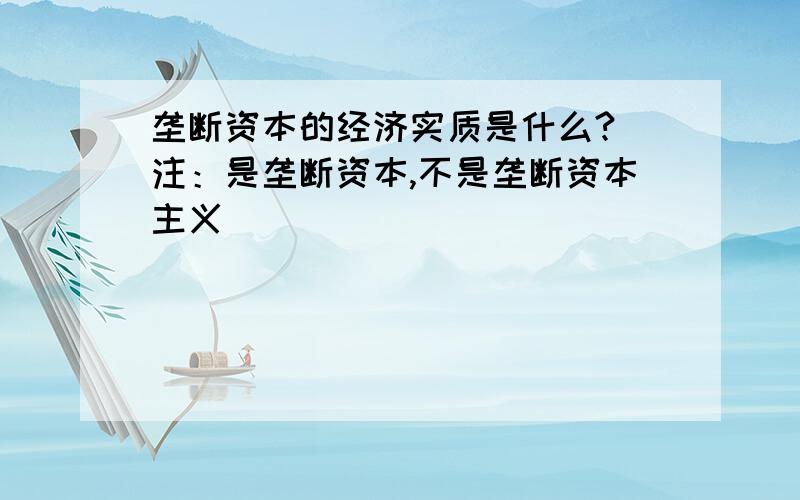 垄断资本的经济实质是什么?（注：是垄断资本,不是垄断资本主义）