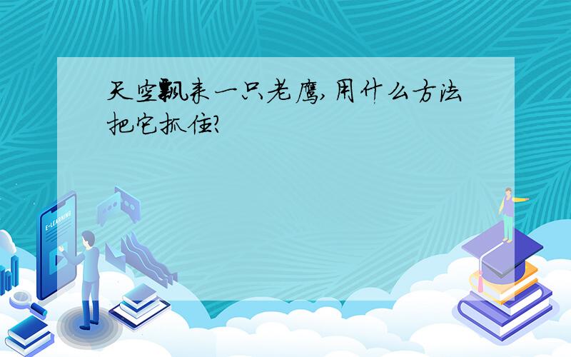 天空飘来一只老鹰,用什么方法把它抓住?