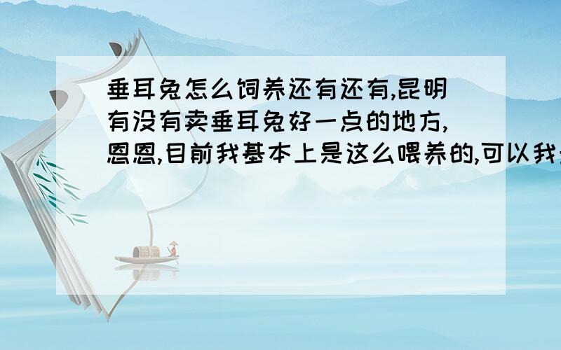 垂耳兔怎么饲养还有还有,昆明有没有卖垂耳兔好一点的地方,恩恩,目前我基本上是这么喂养的,可以我最近发现兔兔的嘴有一边肿了,我家兔兔没有摔跤,也没有从高处摔落,不知道是什么情况,