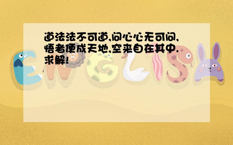 道法法不可道,问心心无可问,悟者便成天地,空来自在其中.求解!