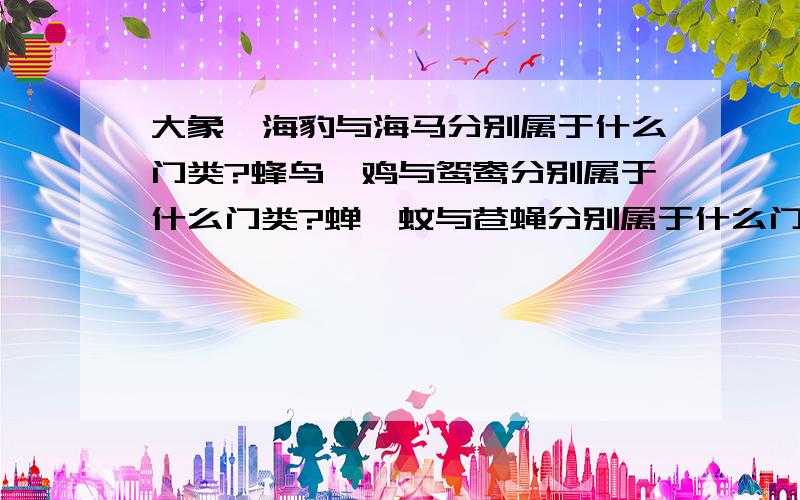 大象、海豹与海马分别属于什么门类?蜂鸟、鸡与鸳鸯分别属于什么门类?蝉、蚊与苍蝇分别属于什么门类?