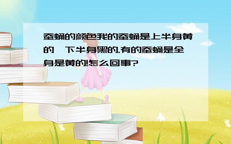 蚕蛹的颜色我的蚕蛹是上半身黄的,下半身黑的.有的蚕蛹是全身是黄的!怎么回事?