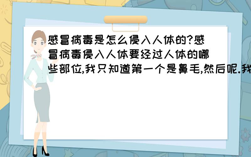 感冒病毒是怎么侵入人体的?感冒病毒侵入人体要经过人体的哪些部位,我只知道第一个是鼻毛,然后呢.我要写篇作文,最好在20日告诉我.我要的是一个病毒是怎么侵入身体的,并在身体繁殖的