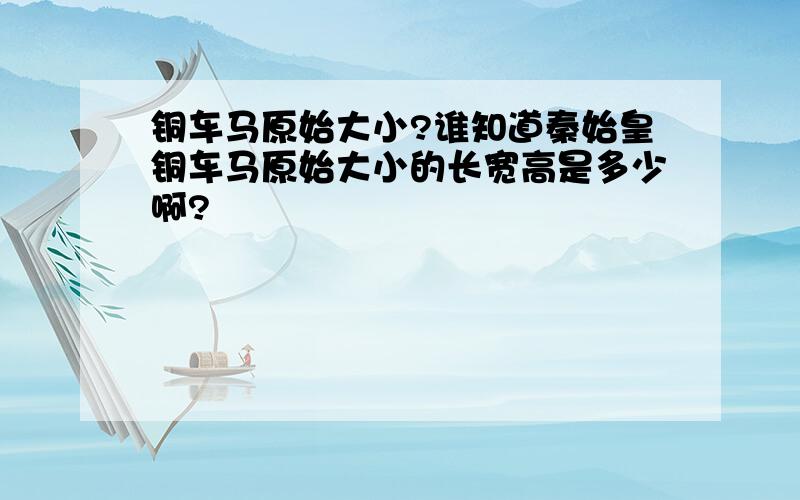 铜车马原始大小?谁知道秦始皇铜车马原始大小的长宽高是多少啊?