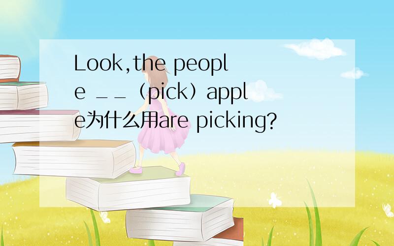 Look,the people __（pick）apple为什么用are picking?