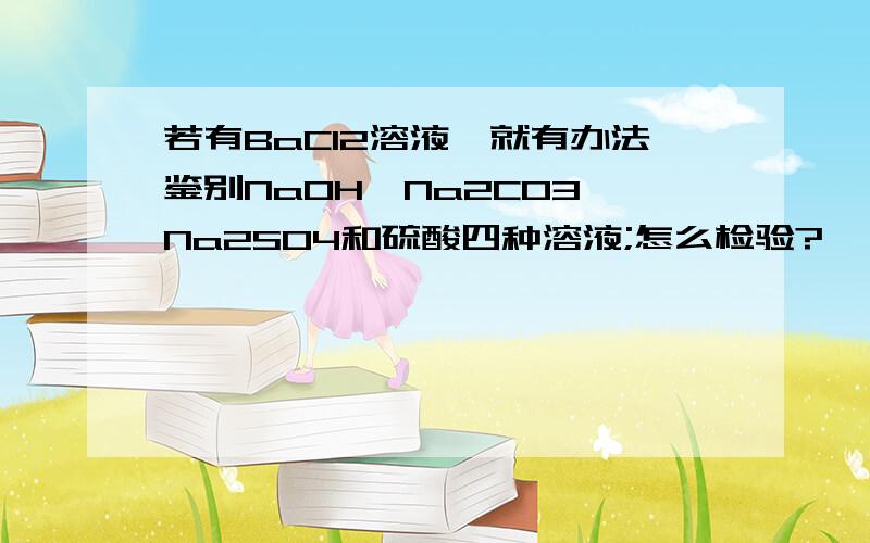 若有BaCl2溶液,就有办法鉴别NaOH、Na2C03、Na2S04和硫酸四种溶液;怎么检验?