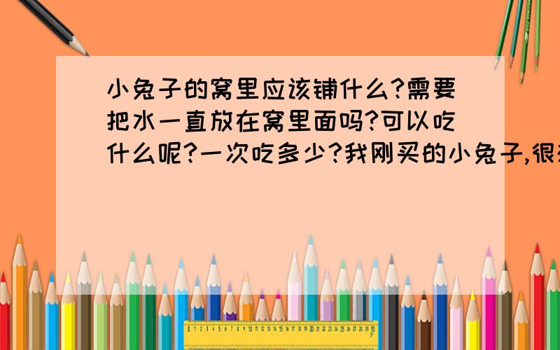 小兔子的窝里应该铺什么?需要把水一直放在窝里面吗?可以吃什么呢?一次吃多少?我刚买的小兔子,很想照顾好他,请问窝里应该铺上什么呢?可以吃什么东西呢?水需要一直放在窝里吗?食物需要