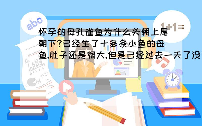 怀孕的母孔雀鱼为什么头朝上尾朝下?已经生了十多条小鱼的母鱼,肚子还是很大,但是已经过去一天了没有再生,现在头朝上尾朝下竖着,一动不动,是不是又要生了?是头朝上!尾朝下!肚子已经很