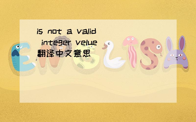 is not a valid integer velue翻译中文意思