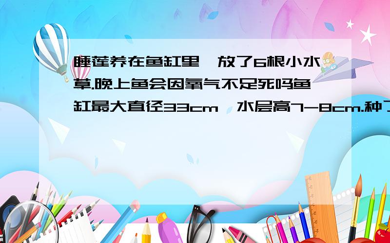 睡莲养在鱼缸里,放了6根小水草.晚上鱼会因氧气不足死吗鱼缸最大直径33cm,水层高7-8cm.种了睡莲、水草.白天没事.晚上没氧气了怎么办?