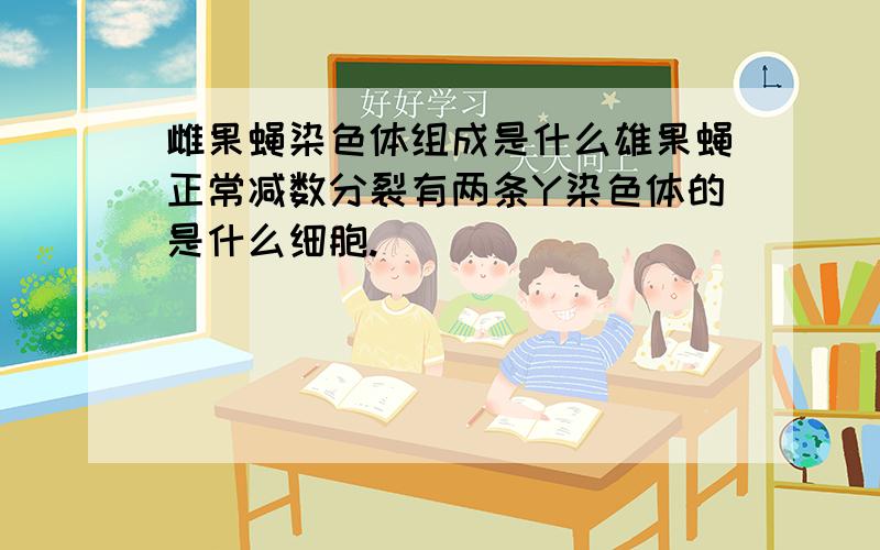 雌果蝇染色体组成是什么雄果蝇正常减数分裂有两条Y染色体的是什么细胞.