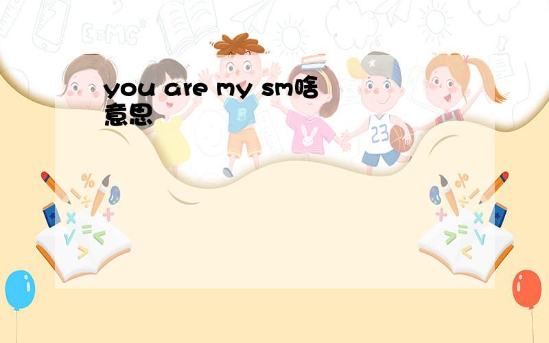 you are my sm啥意思