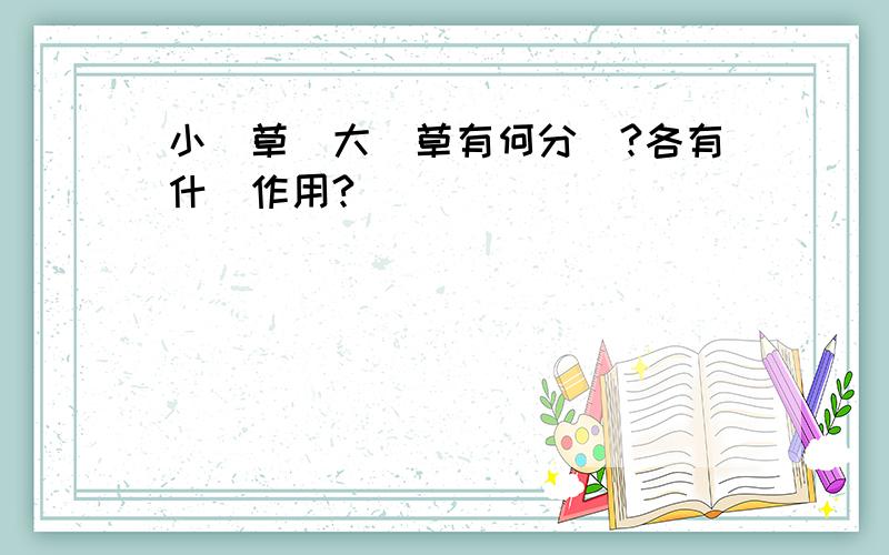 小麥草與大麥草有何分別?各有什麼作用?