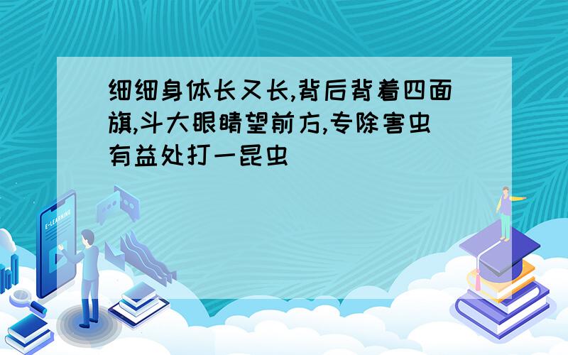 细细身体长又长,背后背着四面旗,斗大眼睛望前方,专除害虫有益处打一昆虫