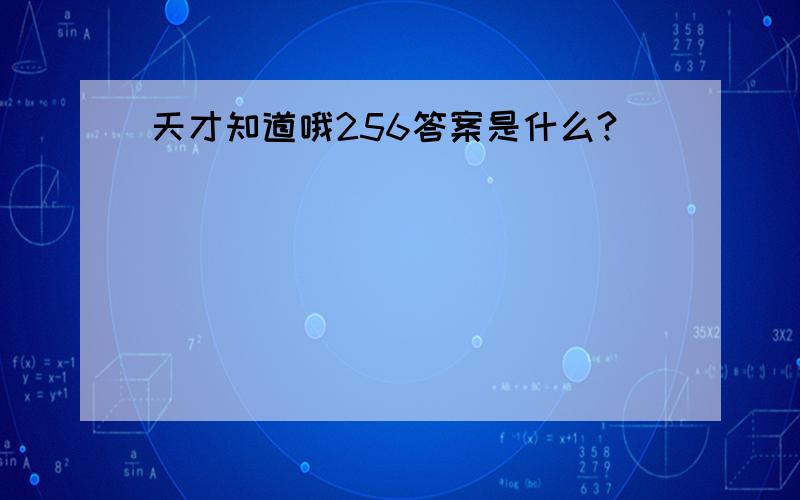 天才知道哦256答案是什么?