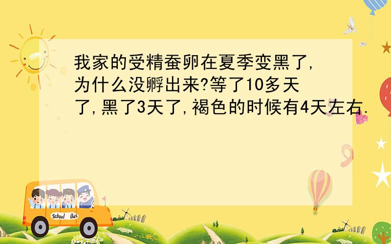 我家的受精蚕卵在夏季变黑了,为什么没孵出来?等了10多天了,黑了3天了,褐色的时候有4天左右.