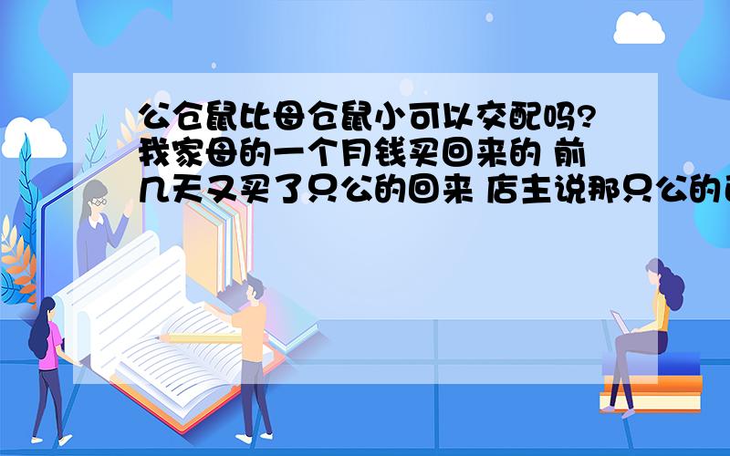 公仓鼠比母仓鼠小可以交配吗?我家母的一个月钱买回来的 前几天又买了只公的回来 店主说那只公的已经一个月了 我估计那只母的也就最多三个月而已 我把它们放在一起 就打架怎么办呀~