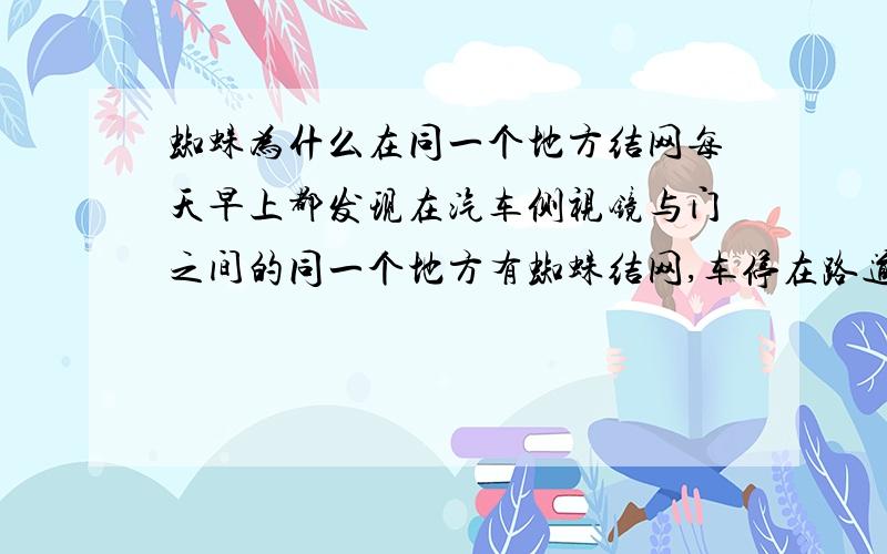 蜘蛛为什么在同一个地方结网每天早上都发现在汽车侧视镜与门之间的同一个地方有蜘蛛结网,车停在路道上侧面没有树,难道从地面上去的?很邪门