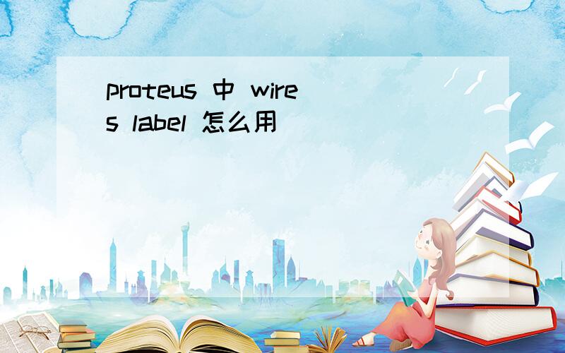 proteus 中 wires label 怎么用