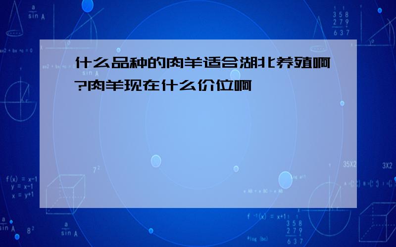 什么品种的肉羊适合湖北养殖啊?肉羊现在什么价位啊