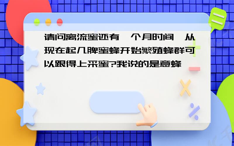 请问离流蜜还有一个月时间,从现在起几脾蜜蜂开始繁殖蜂群可以跟得上采蜜?我说的是意蜂