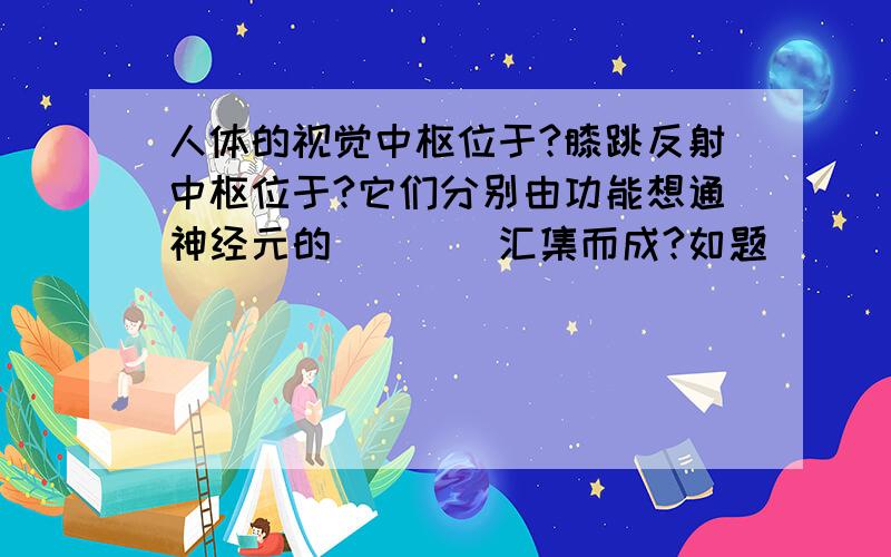 人体的视觉中枢位于?膝跳反射中枢位于?它们分别由功能想通神经元的____汇集而成?如题